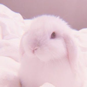 Meet your Posher, Doris